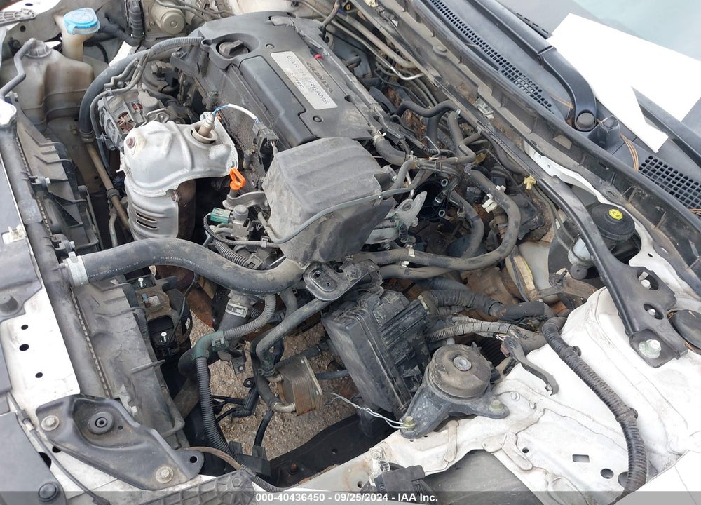 2015 HONDA ACCORD EX-L VIN: 1HGCR2F81FA144219