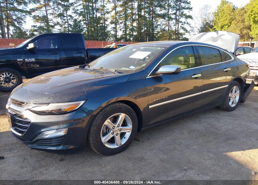 2019 CHEVROLET MALIBU 1LS VIN: 1G1ZB5ST9KF172106