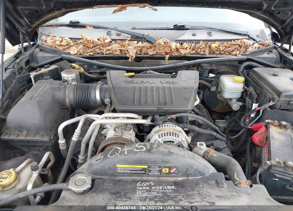 2008 DODGE DAKOTA SPORT VIN: 1D7HW68N18S550141