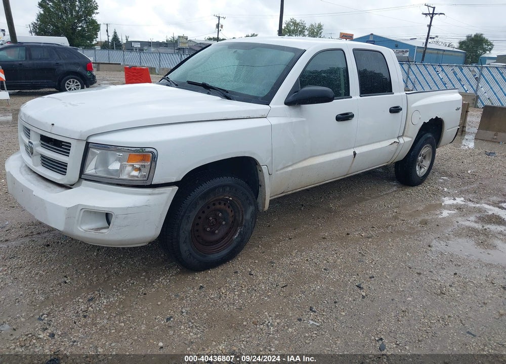 2011 RAM DAKOTA SXT VIN: 1D7RW3GK0BS504575