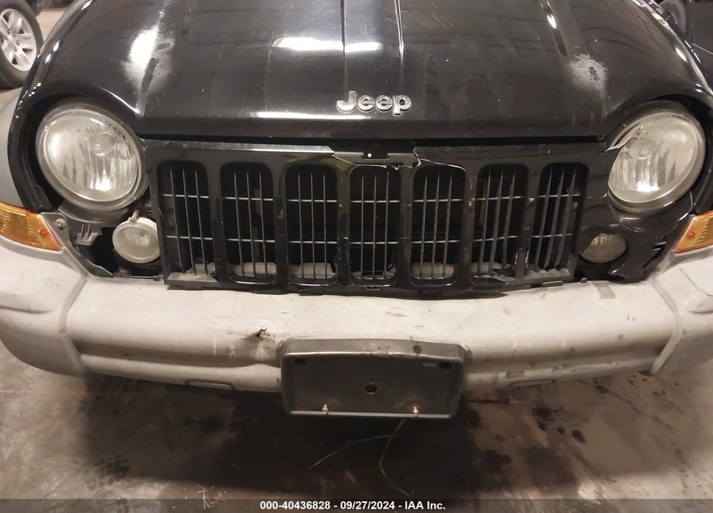 2006 JEEP LIBERTY SPORT VIN: 1J4GL48K46W139146