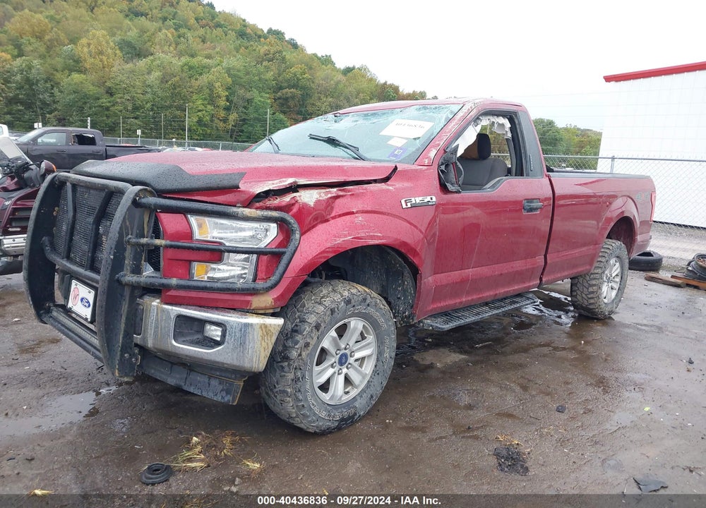 2017 FORD F-150 XLT VIN: 1FTMF1EF5HKE08433
