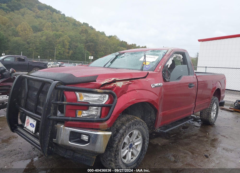 2017 FORD F-150 XLT VIN: 1FTMF1EF5HKE08433
