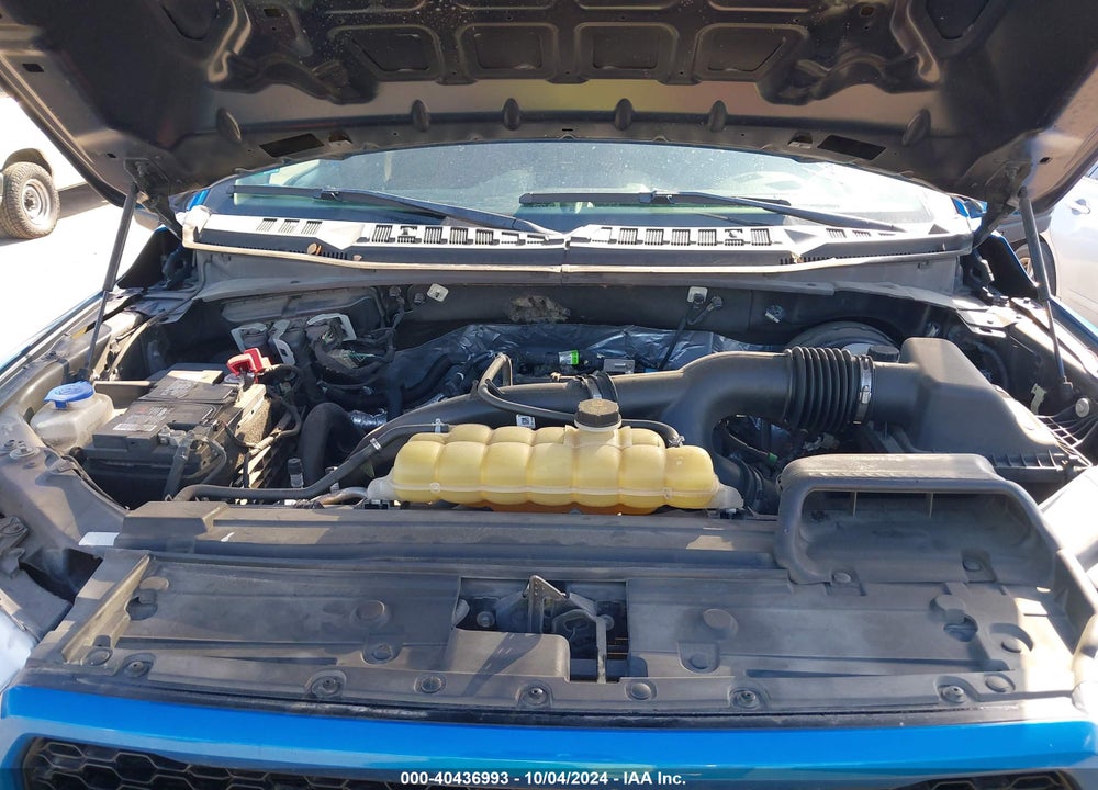 2019 FORD F-150 XL VIN: 1FTEW1CP6KKF31648