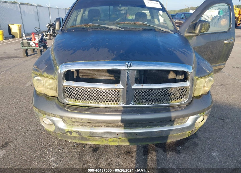 2002 DODGE RAM 1500 ST VIN: 1D7HA16N72J251173