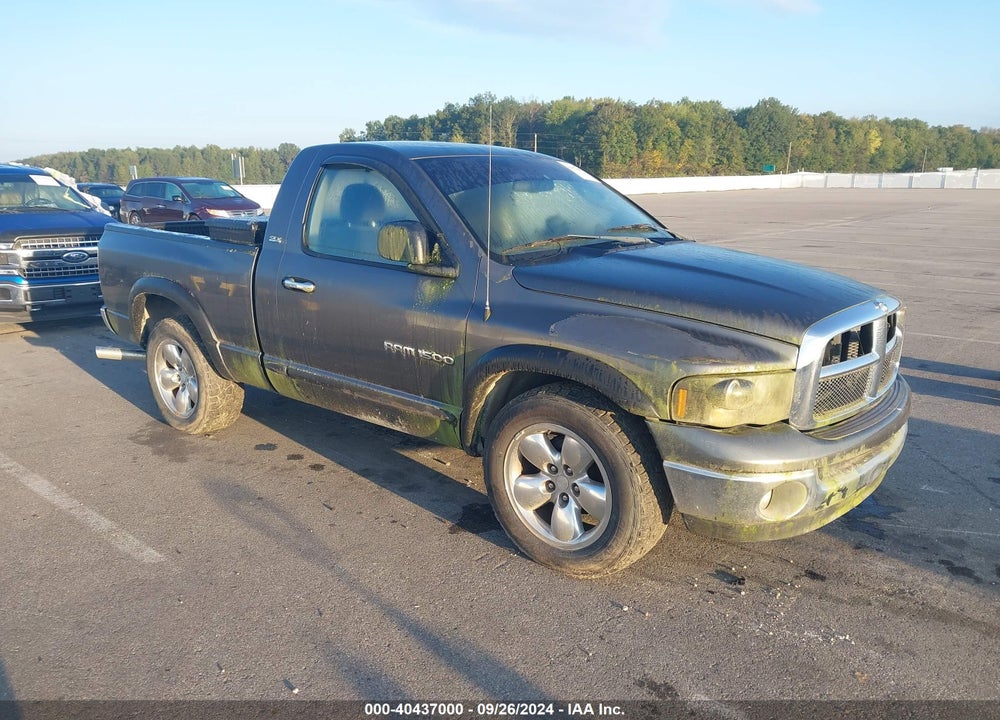 2002 DODGE RAM 1500 ST VIN: 1D7HA16N72J251173