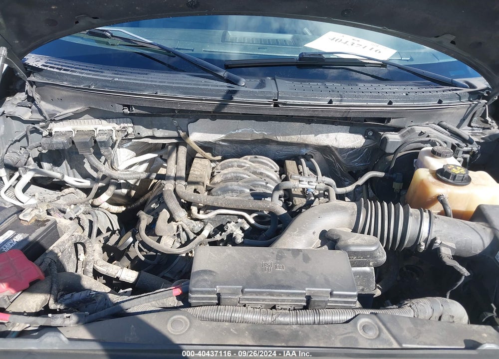 2013 FORD F-150 STX VIN: 1FTFX1EF9DKE66643