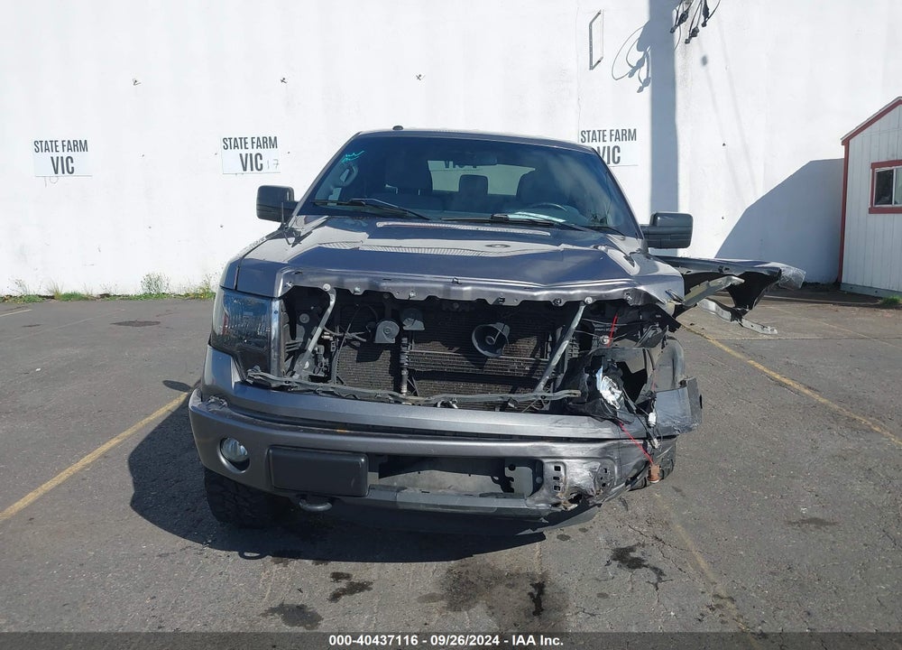 2013 FORD F-150 STX VIN: 1FTFX1EF9DKE66643