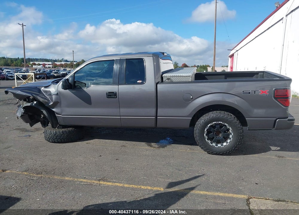 2013 FORD F-150 STX VIN: 1FTFX1EF9DKE66643