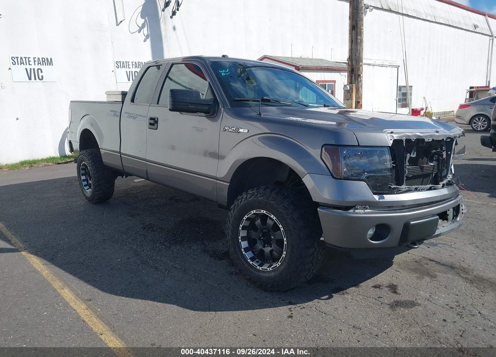 2013 FORD F-150 STX VIN: 1FTFX1EF9DKE66643
