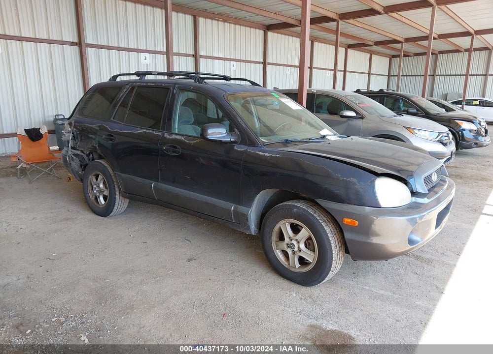 2004 HYUNDAI SANTA FE GLS VIN: KM8SC13D24U664945