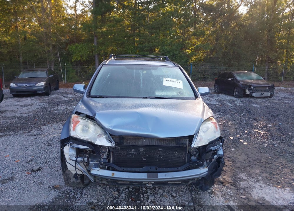 2010 HONDA CR-V EX-L VIN: 5J6RE4H79AL002745