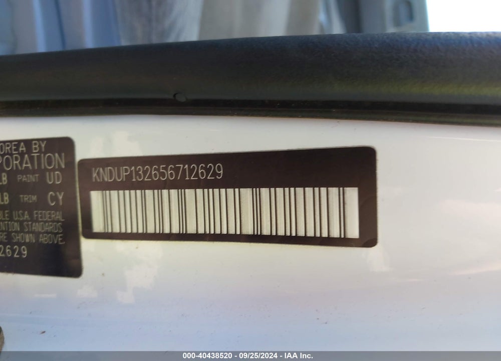 2005 KIA SEDONA EX/LX VIN: KNDUP132656712629