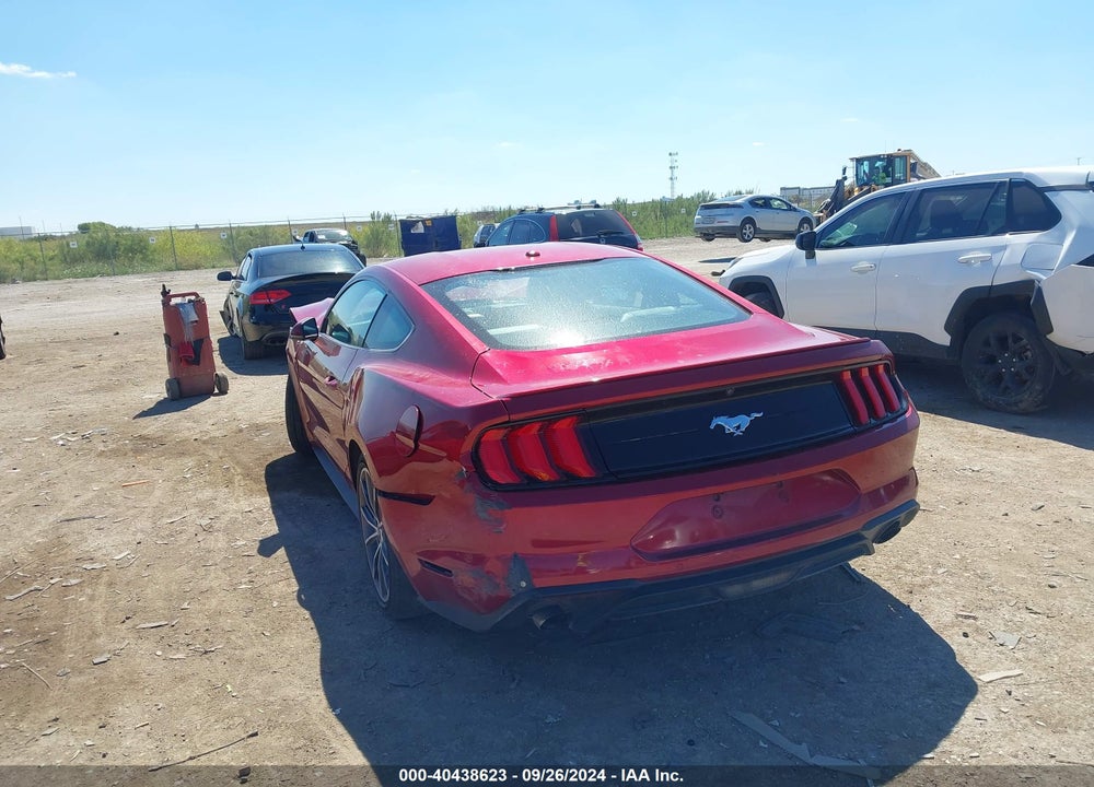 2019 FORD MUSTANG ECOBOOST PREMIUM VIN: 1FA6P8TH7K5159681