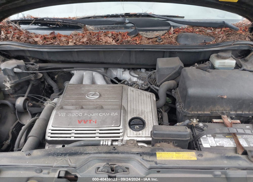 2002 LEXUS RX 300 VIN: JTJHF10U120286385