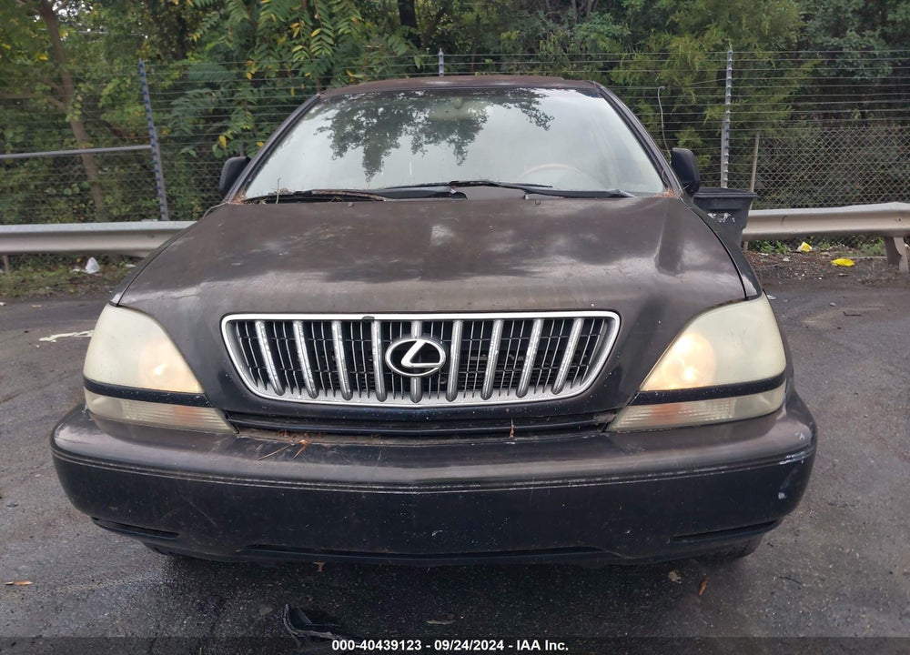 2002 LEXUS RX 300 VIN: JTJHF10U120286385