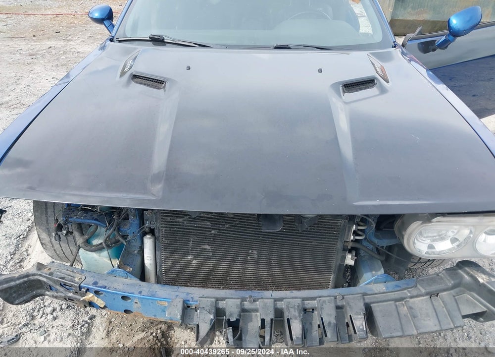 2009 DODGE CHALLENGER R/T VIN: 2B3LJ54T59H510513