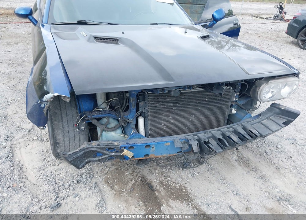 2009 DODGE CHALLENGER R/T VIN: 2B3LJ54T59H510513