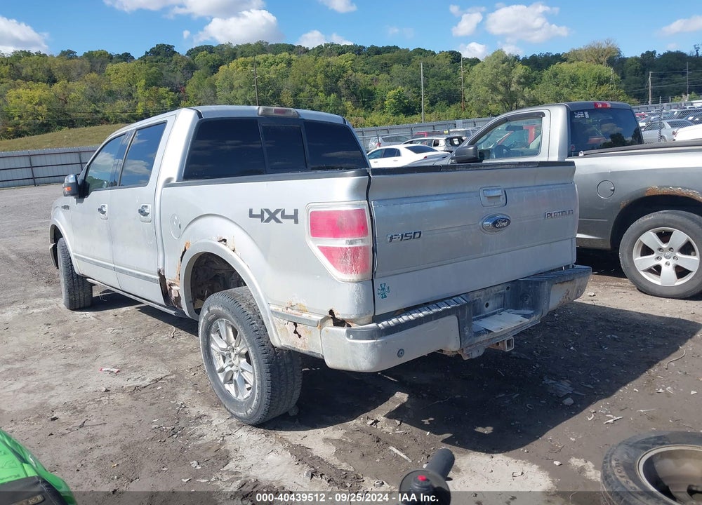 2009 FORD F-150 FX4/KING RANCH/LARIAT/PLATINUM/XL/XLT VIN: 1FTPW14V79FB18467