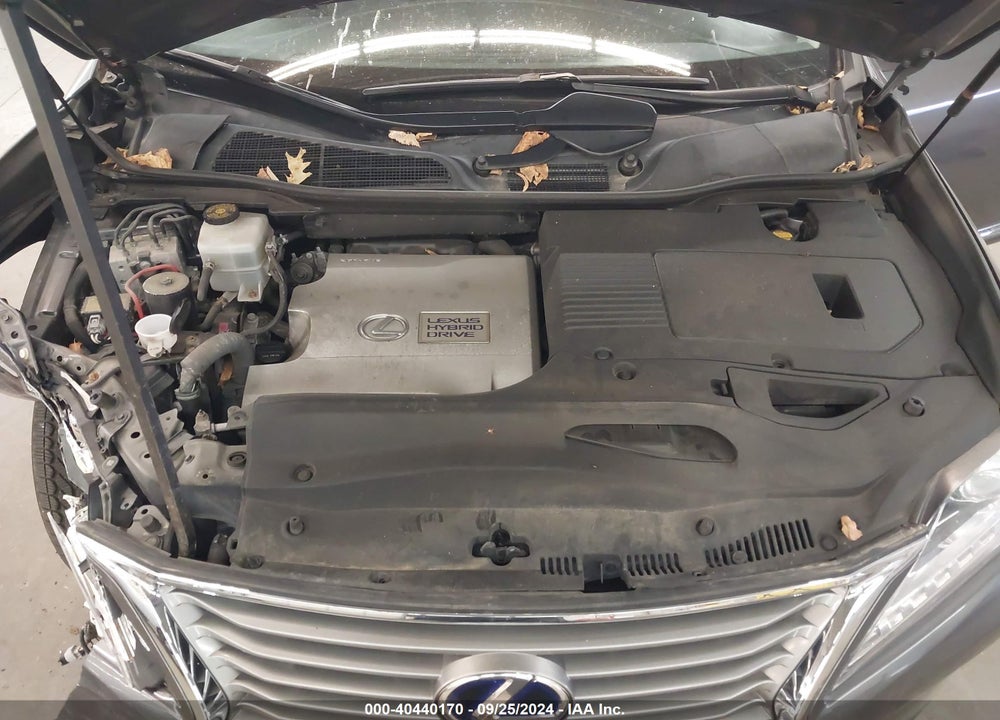 2014 LEXUS RX 450H VIN: JTJBC1BAXE2068665