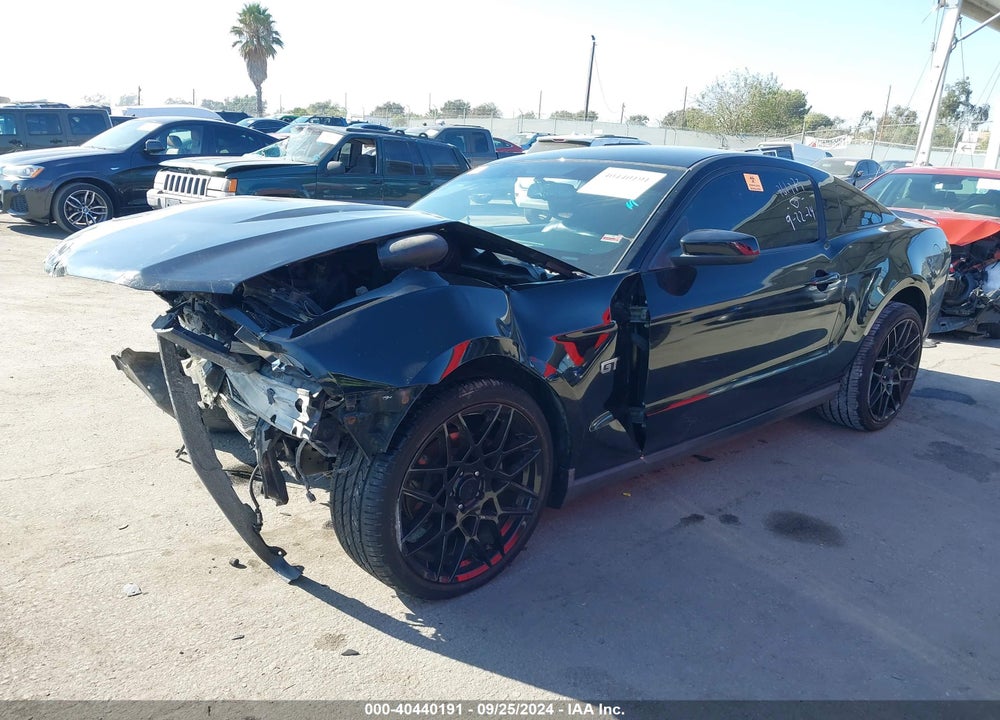 2010 FORD MUSTANG GT/GT PREMIUM VIN: 1ZVBP8CH3A5155051