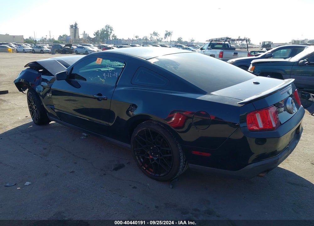 2010 FORD MUSTANG GT/GT PREMIUM VIN: 1ZVBP8CH3A5155051