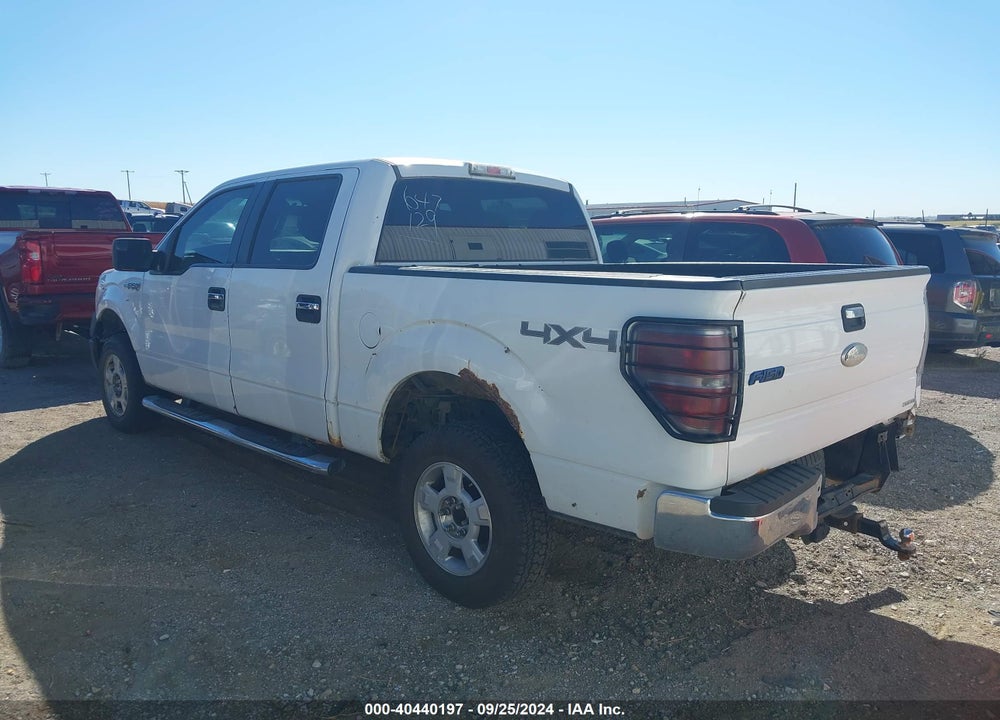 2012 FORD F-150 XLT VIN: 1FTFW1EF8CFB72869