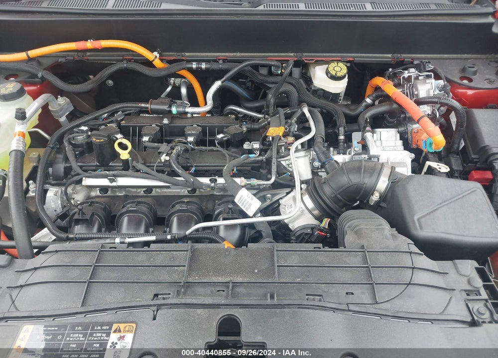 2024 FORD MAVERICK XLT VIN: 3FTTW8H37RRA66003