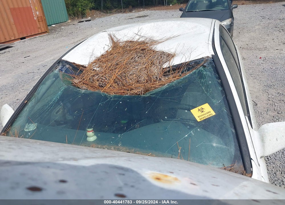1997 TOYOTA CAMRY LE VIN: 4T1BG22KXVU807765