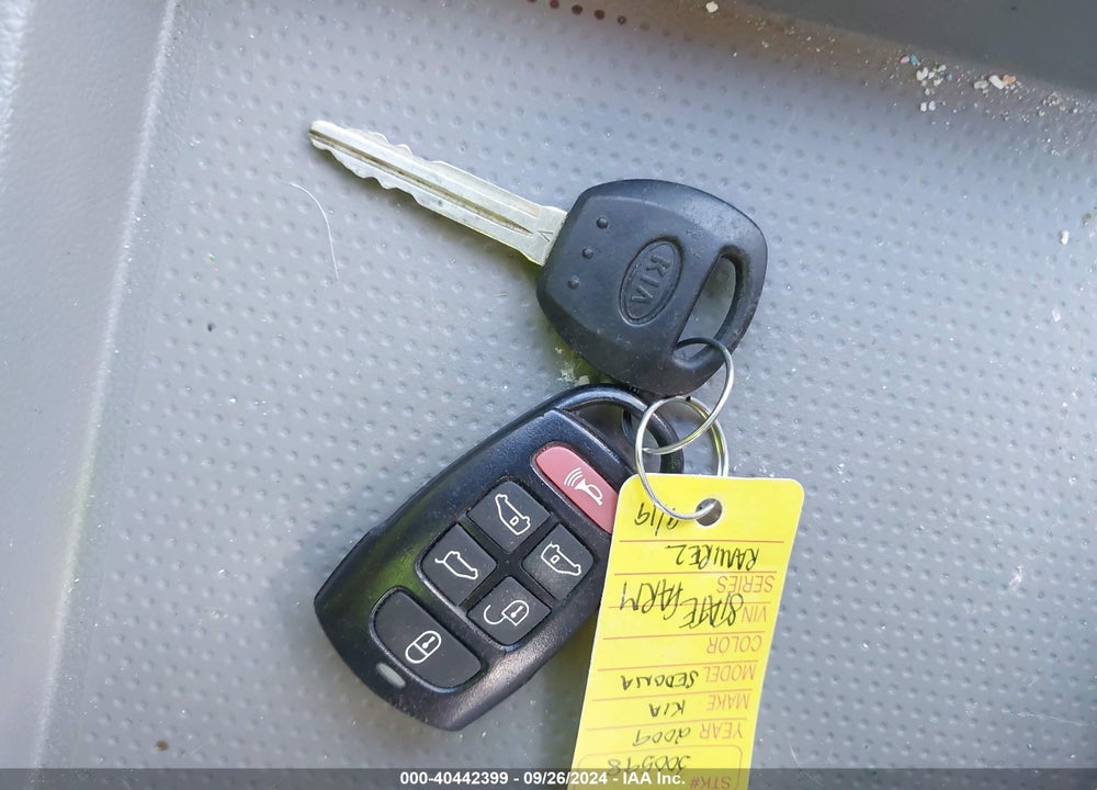 2009 KIA SEDONA EX VIN: KNDMB233696296035
