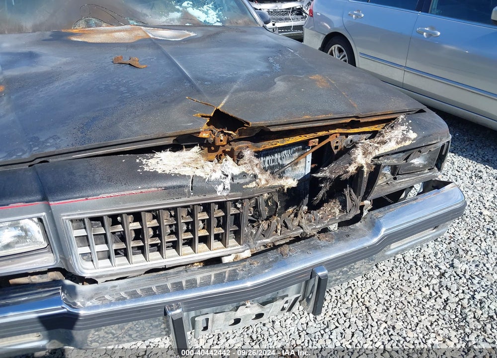 1986 CHEVROLET CAPRICE CLASSIC VIN: 1G1BN35H6G9105280
