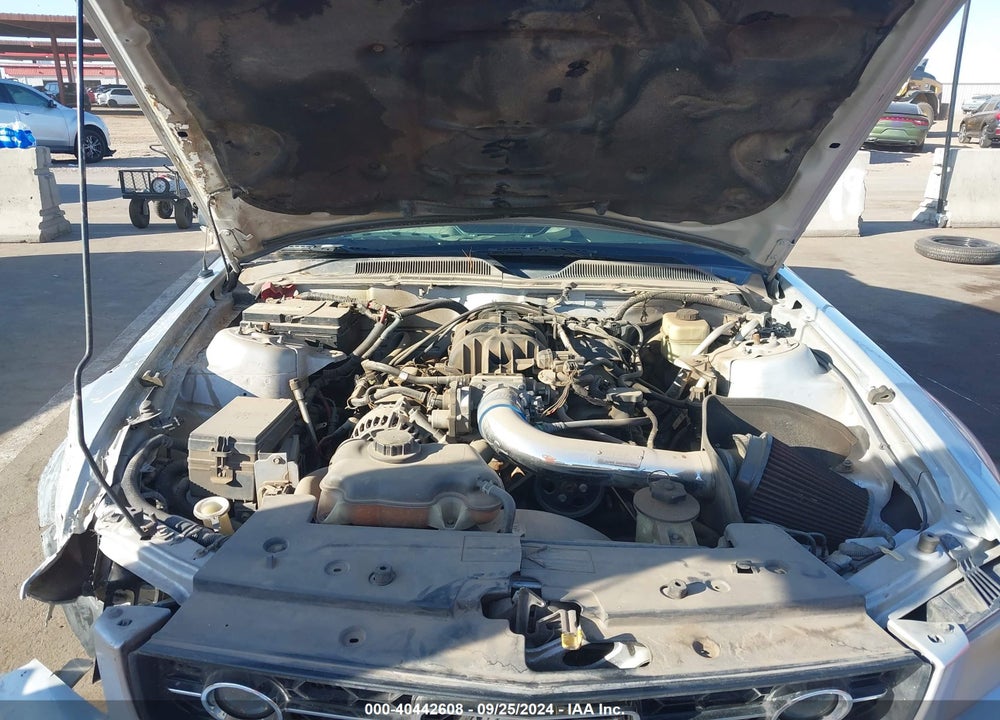 2006 FORD MUSTANG V6 VIN: 1ZVFT80N665116727