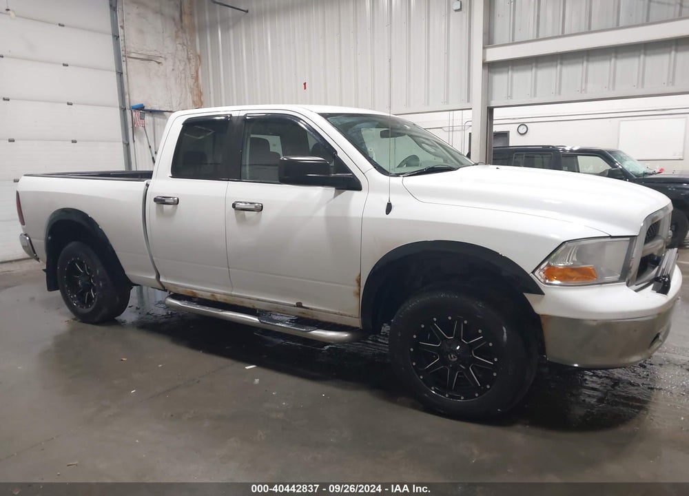 2010 DODGE RAM 1500 SLT/SPORT/TRX VIN: 1D7RV1GP1AS136778