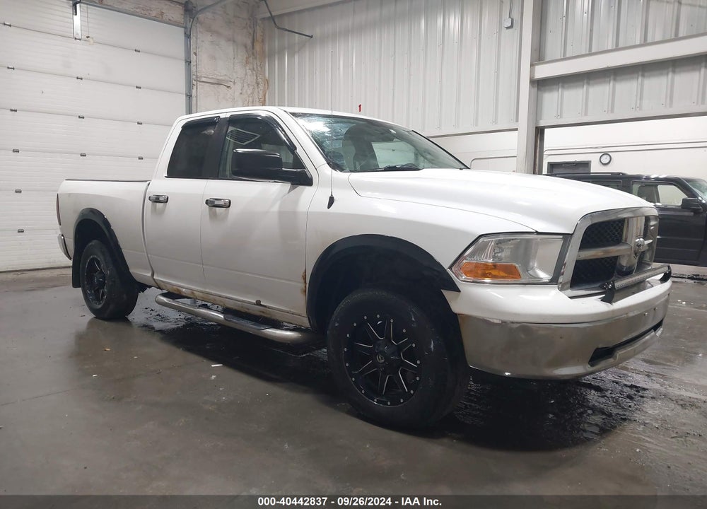 2010 DODGE RAM 1500 SLT/SPORT/TRX VIN: 1D7RV1GP1AS136778