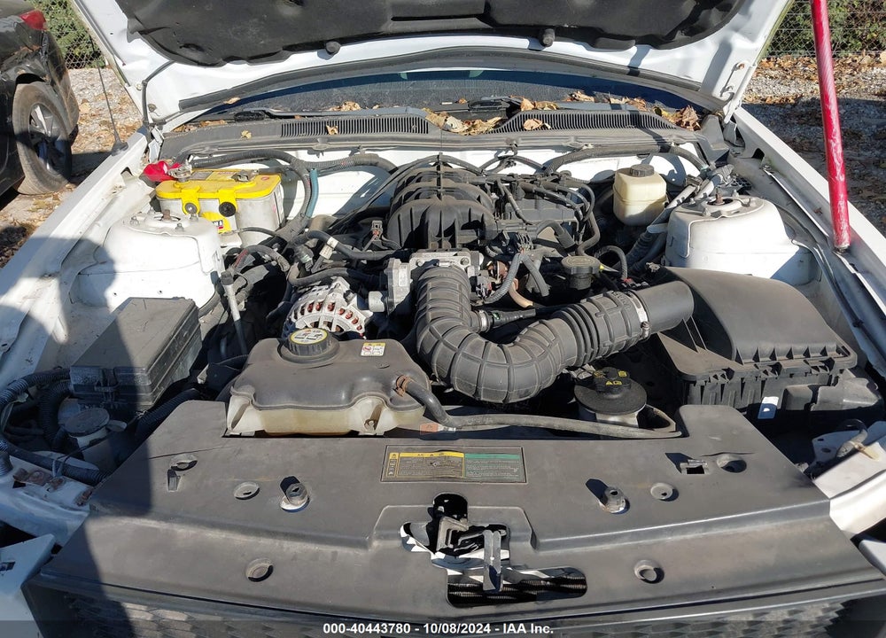 2007 FORD MUSTANG V6 DELUXE/V6 PREMIUM VIN: 1ZVFT84N675328197