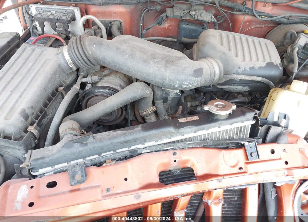 2001 JEEP WRANGLER SE VIN: 1J4FA29P31P365181