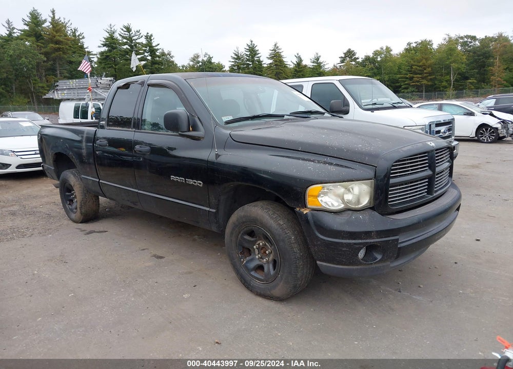 2002 DODGE RAM 1500 ST VIN: 1D7HU18N02J215913