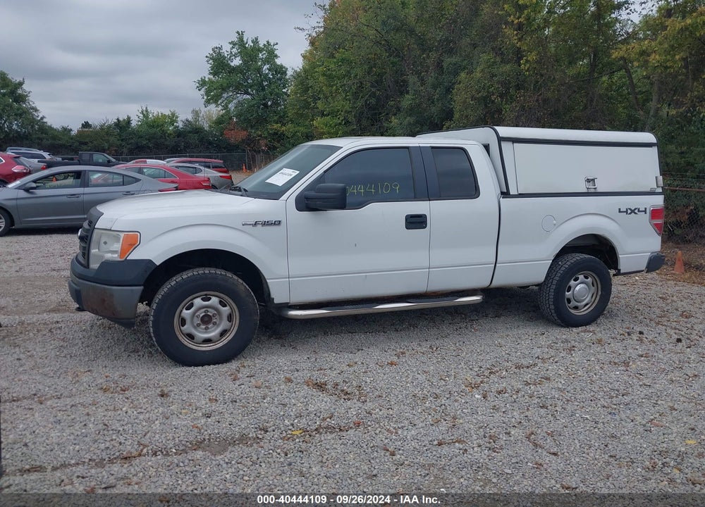 2013 FORD F-150 XL VIN: 1FTFX1EF5DFA47925
