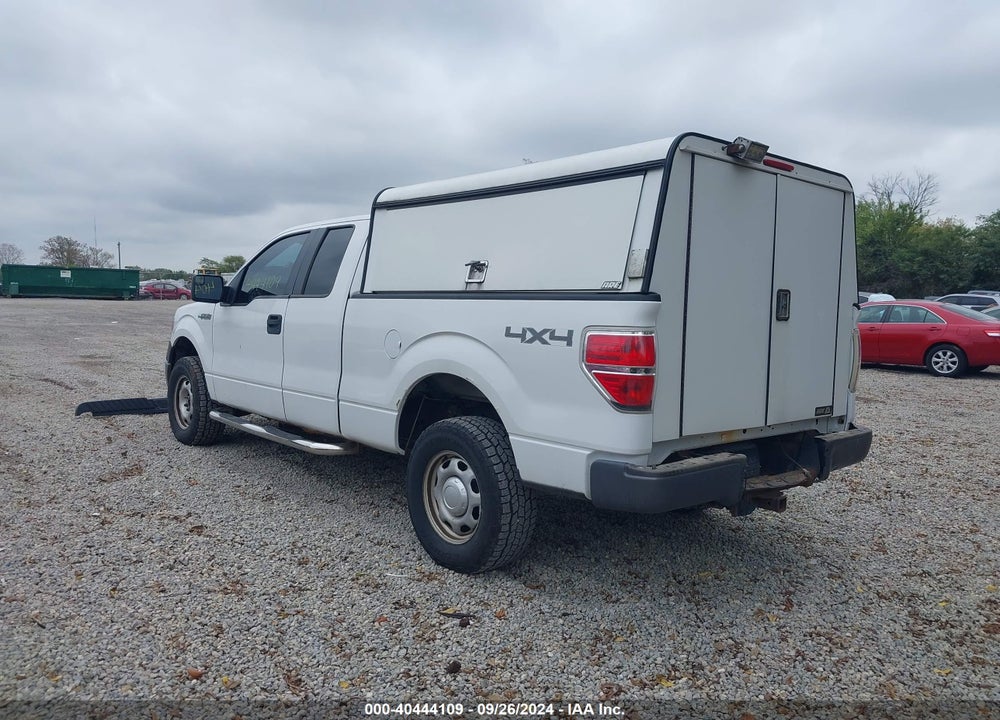 2013 FORD F-150 XL VIN: 1FTFX1EF5DFA47925