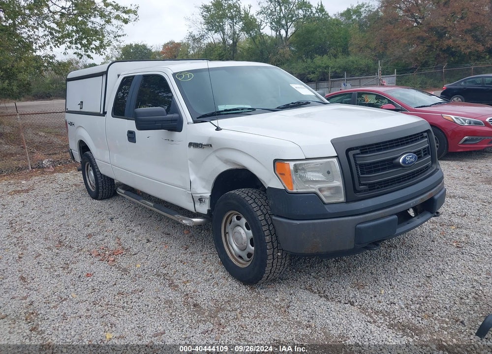 2013 FORD F-150 XL VIN: 1FTFX1EF5DFA47925