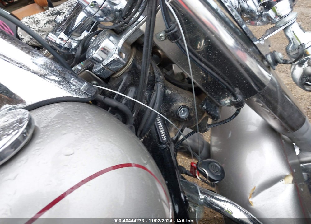 2009 HARLEY-DAVIDSON FLSTC VIN: 1HD1BW5189Y020593