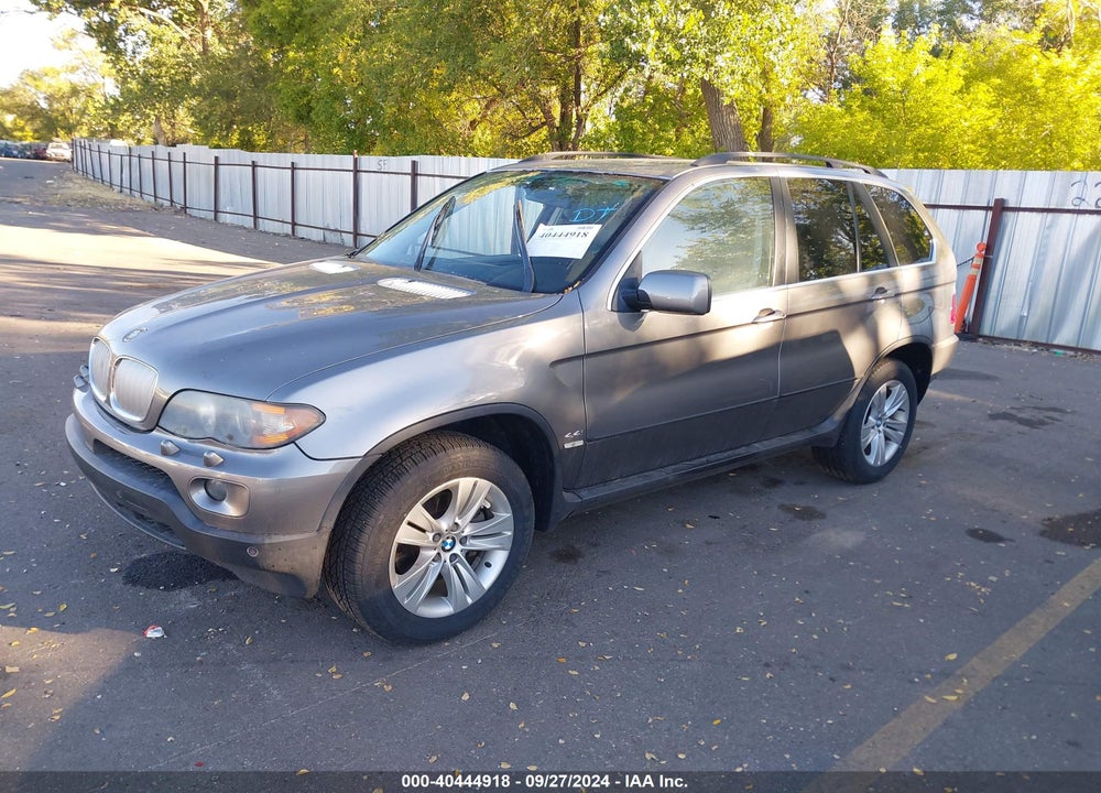2005 BMW X5 4.4I VIN: 5UXFB53505LV17943