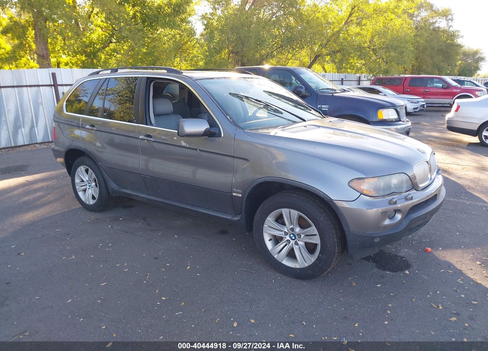 2005 BMW X5 4.4I VIN: 5UXFB53505LV17943