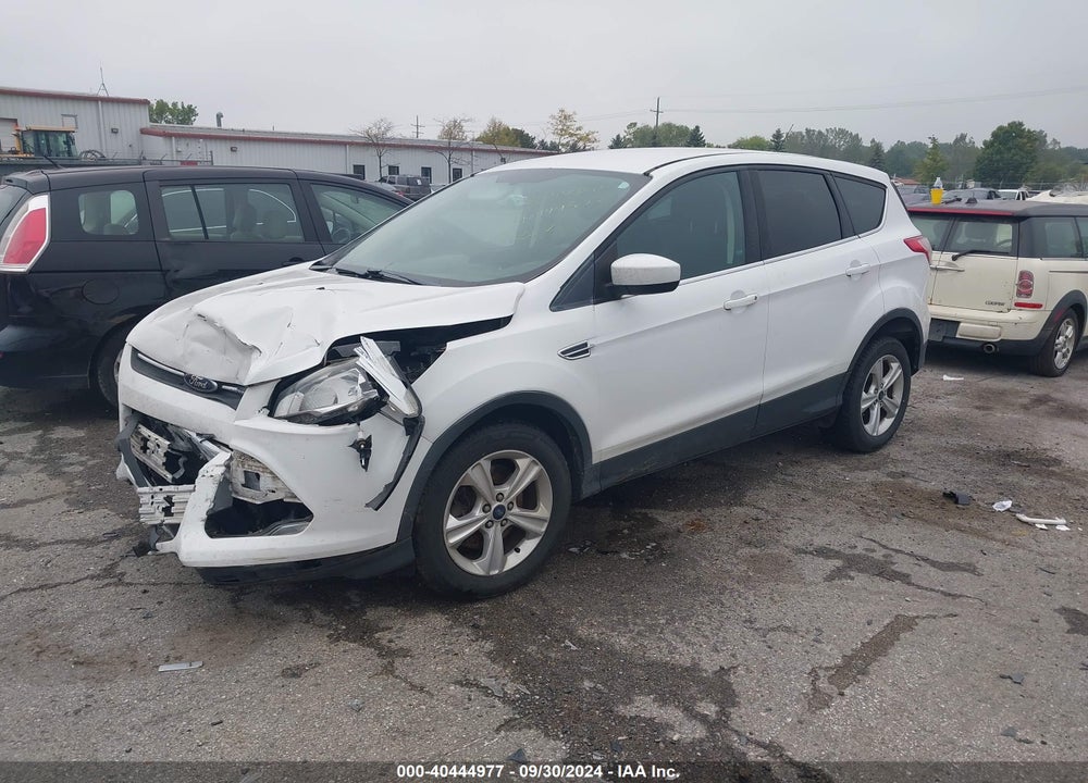 2014 FORD ESCAPE SE VIN: 1FMCU0G97EUD59508