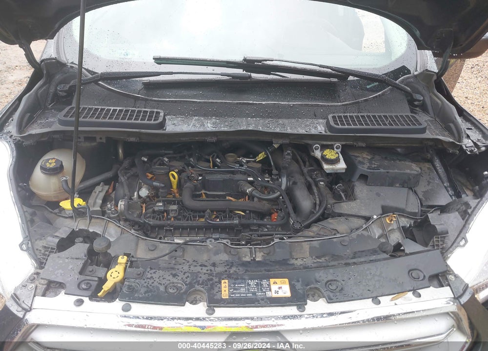 2019 FORD ESCAPE SE VIN: 1FMCU9GD7KUA73100