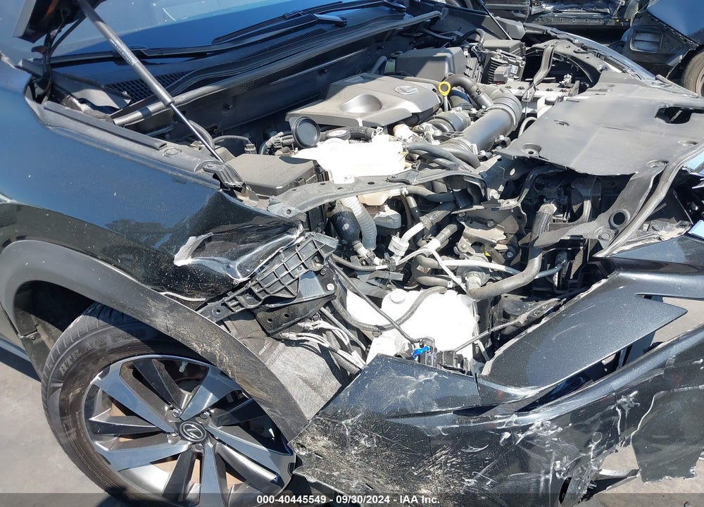 2020 LEXUS NX 300 VIN: JTJGARBZ2L2177568