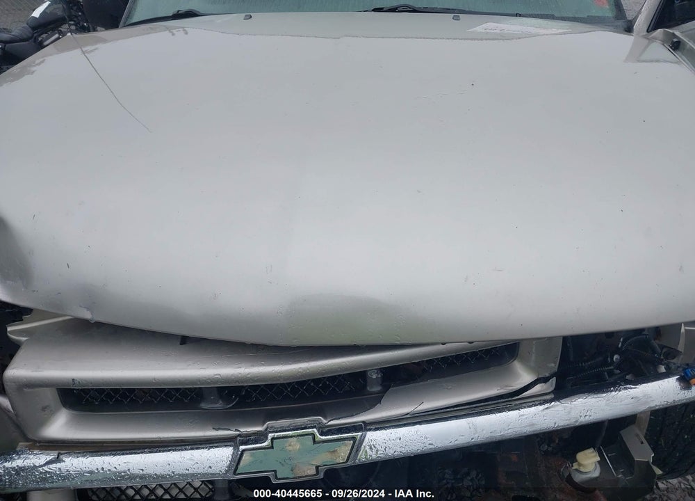 2002 CHEVROLET BLAZER LS VIN: 1GNDT13W52K101421