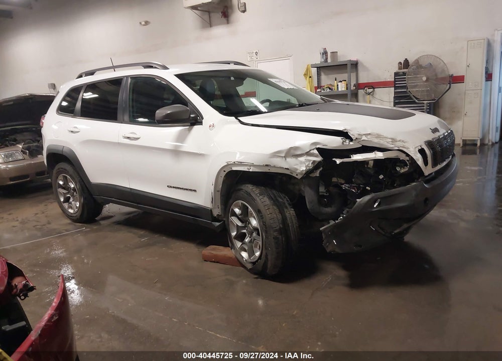 2019 CHEROKEE JEEP  TRAILHAWK 4X4 VIN: 1C4PJMBX6KD301719