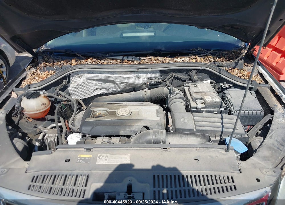 2011 VOLKSWAGEN TIGUAN SE VIN: WVGBV7AX8BW519419