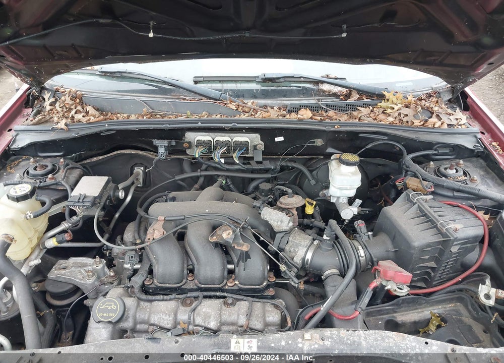 2008 FORD ESCAPE XLT VIN: 1FMCU93168KB02828